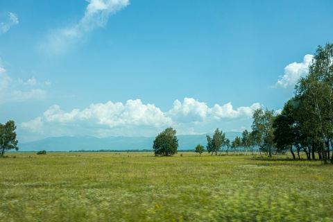 Campo agrícola de 95 hectáreas cerca de Río Segundo
