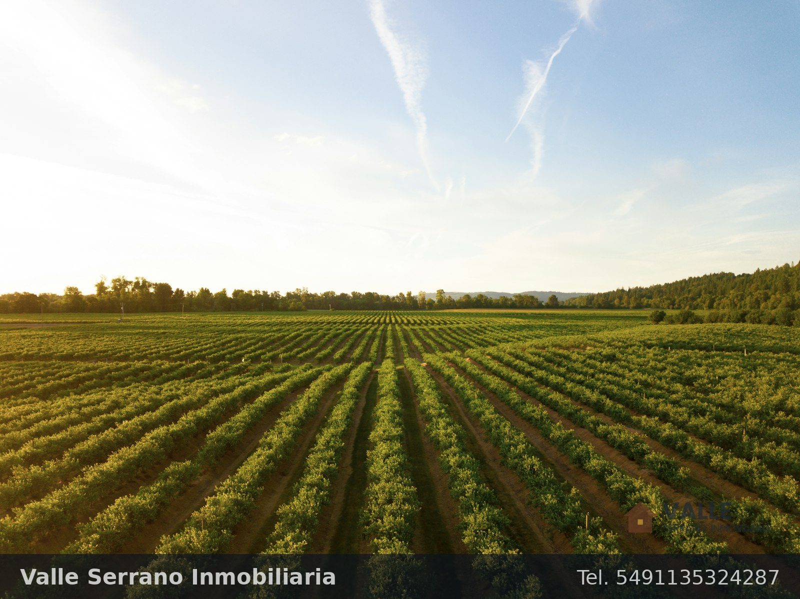 Campo agrícola de 95 hectáreas cerca de Río Segundo, foto 3