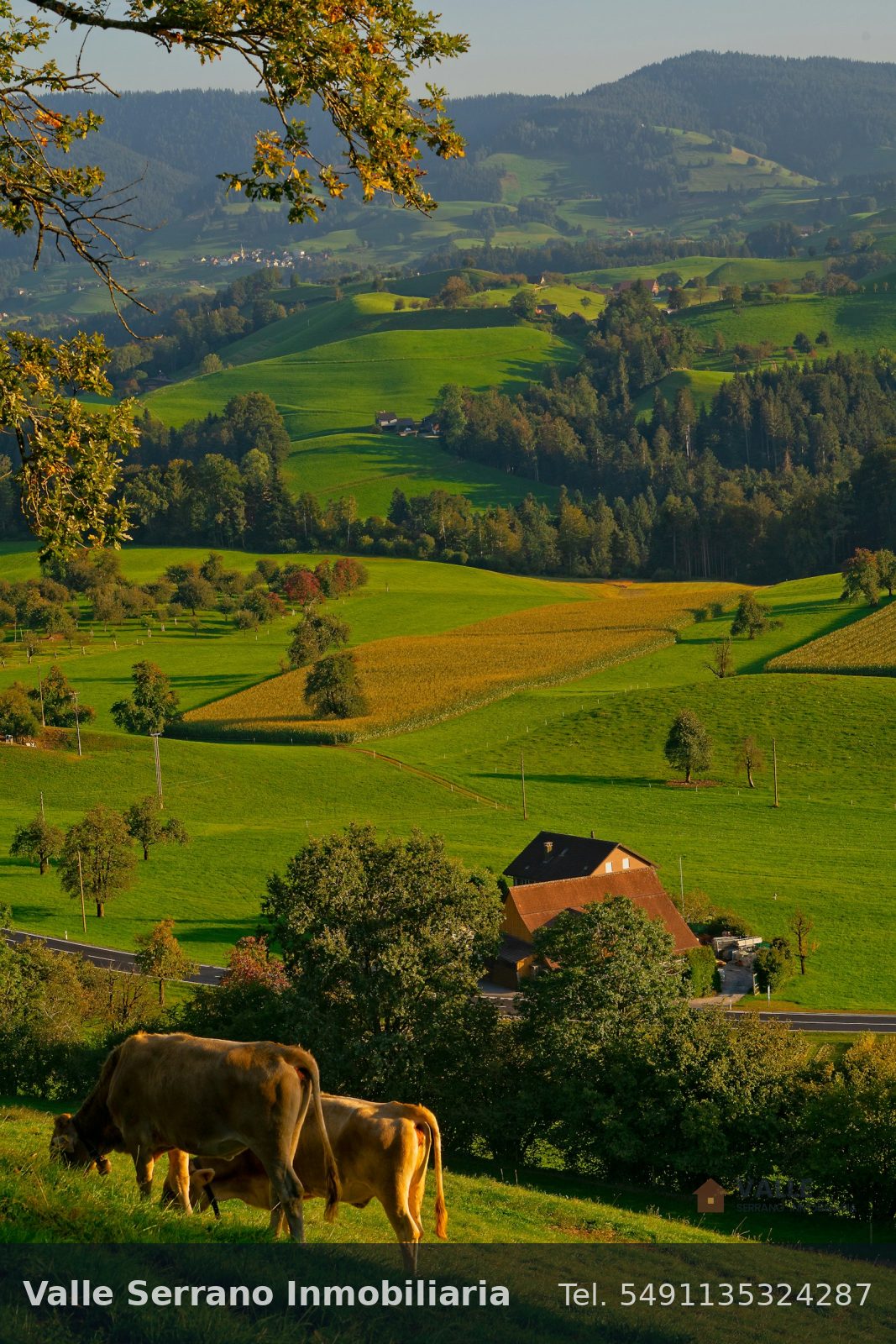 Campo agrícola de 95 hectáreas cerca de Río Segundo, foto 4
